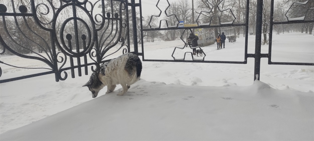 Сніжно і холодно!