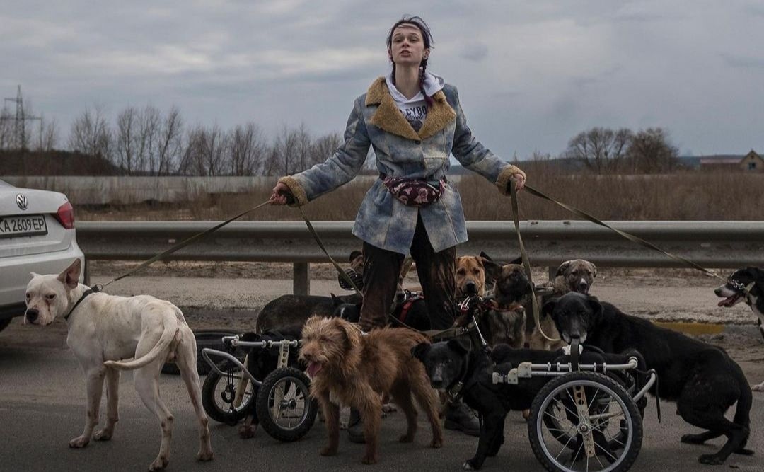 Настя Тиха стала зіркою соцмереж завдяки доброму серцю та фото під час порятунку собак з інвалідністю