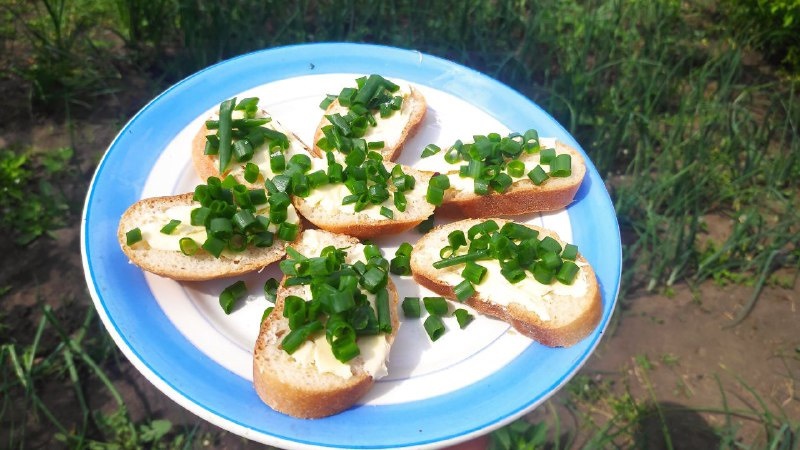 Канапки із зеленою цибулею