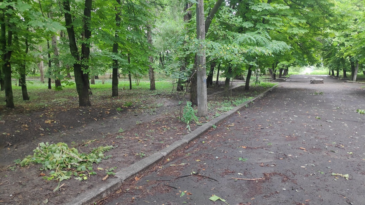 Молодіжний парк