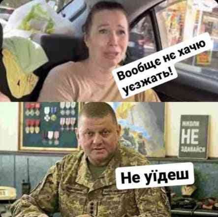Меми про Кримський міст