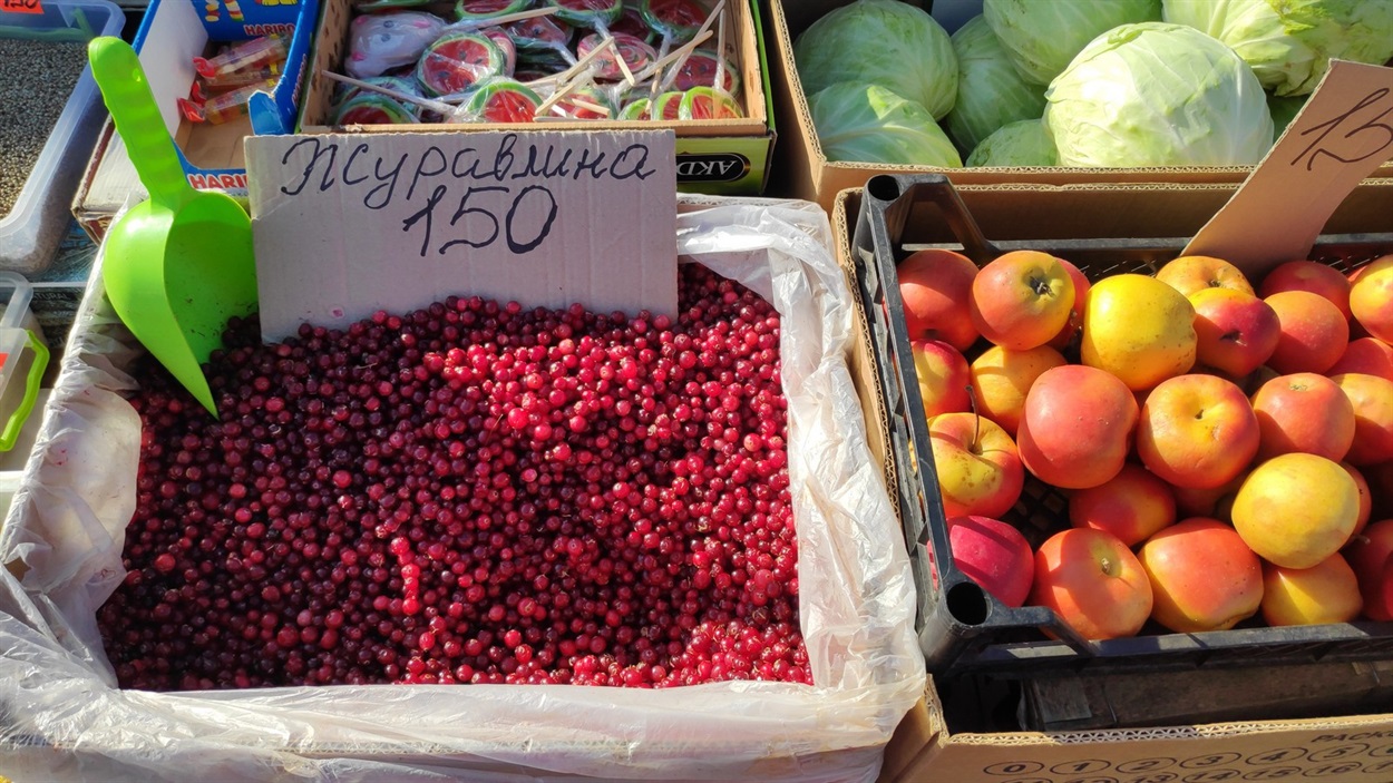 Журавлина