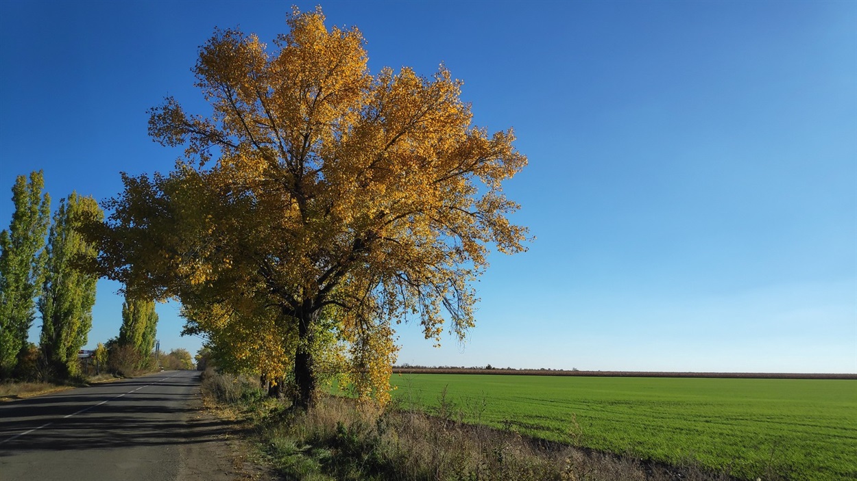 Осіння дорога