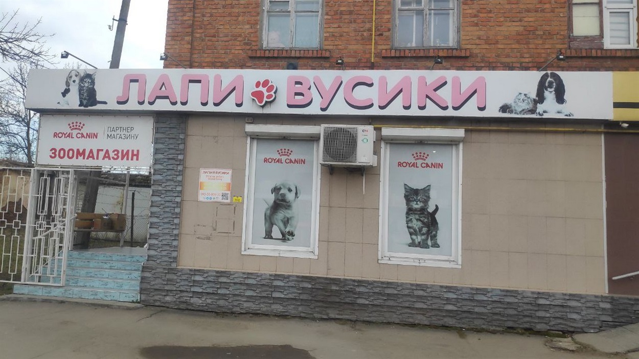 Лапки-вусики