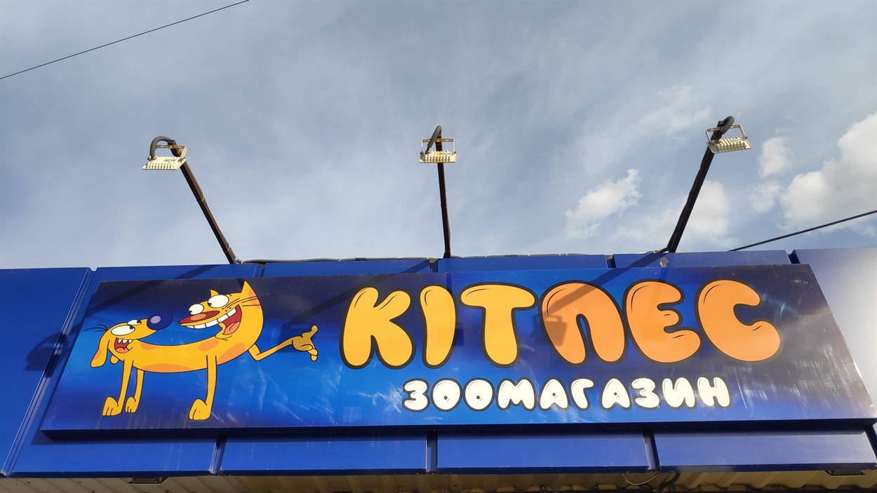 КітПес