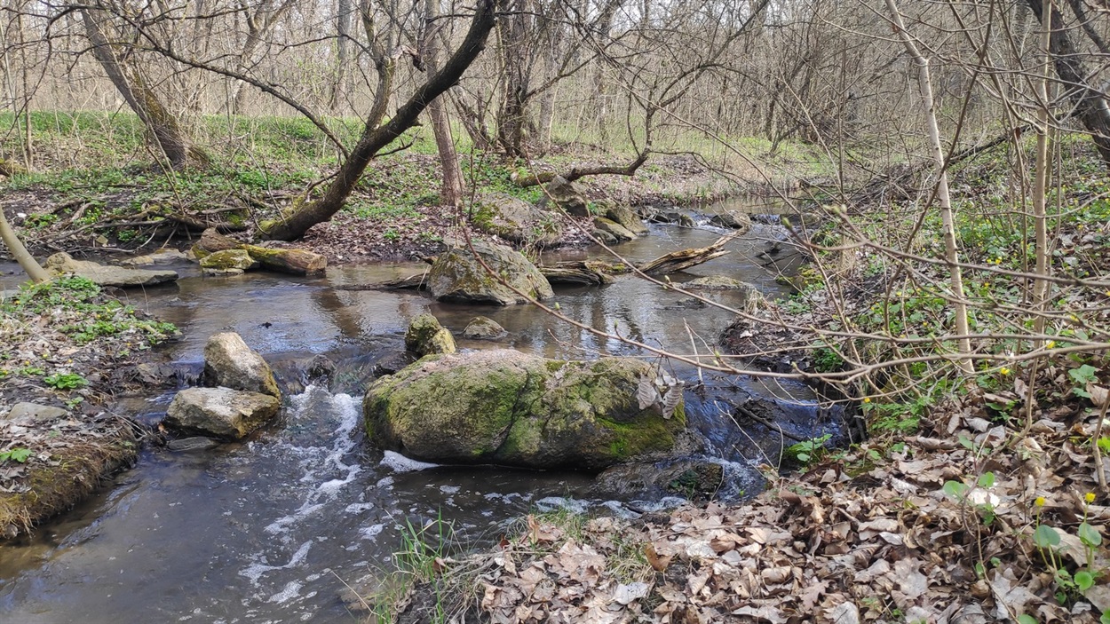 Струмок із водоспадами