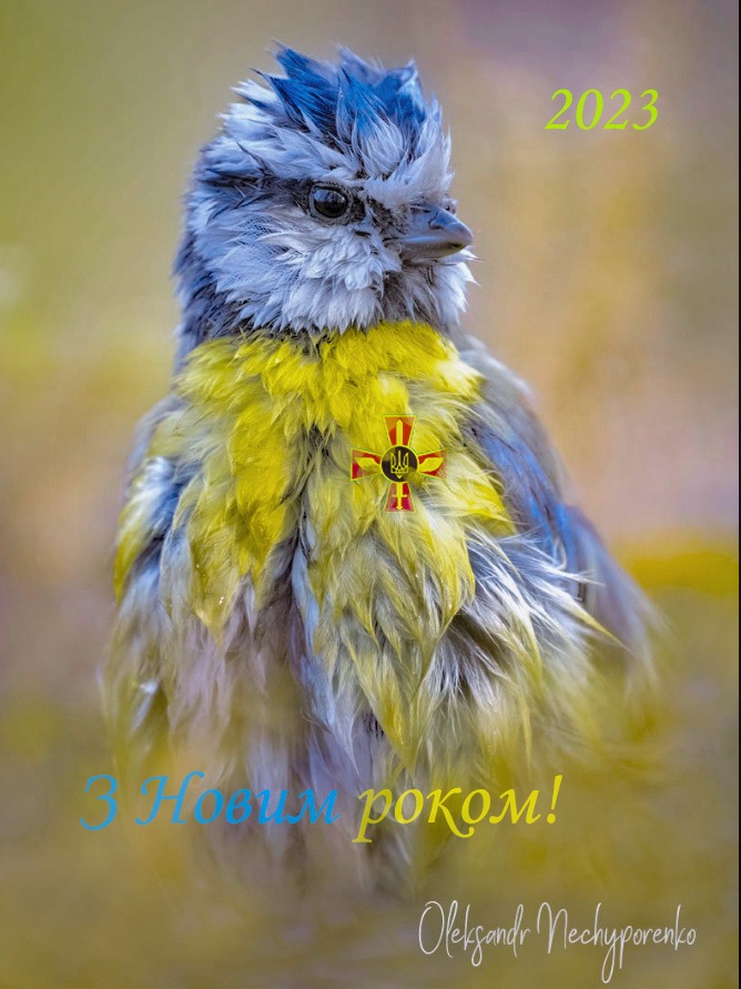 У новому році — нам Перемоги!