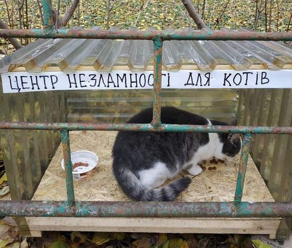 Пункт незламності для котів