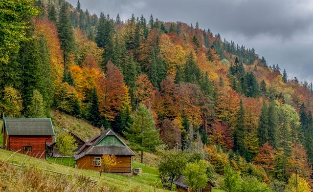 Татарів відпочинок