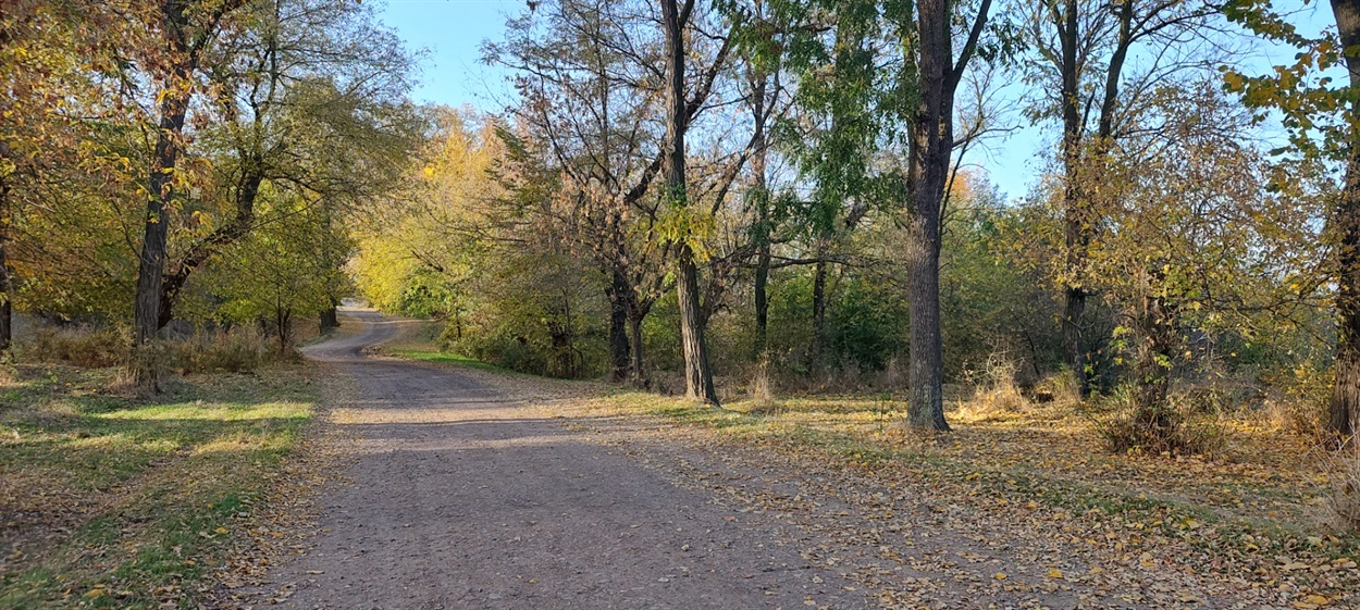 Осіння дорога