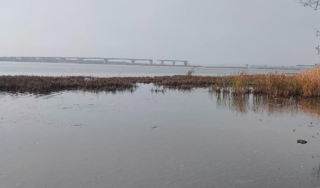 Антонівський міст