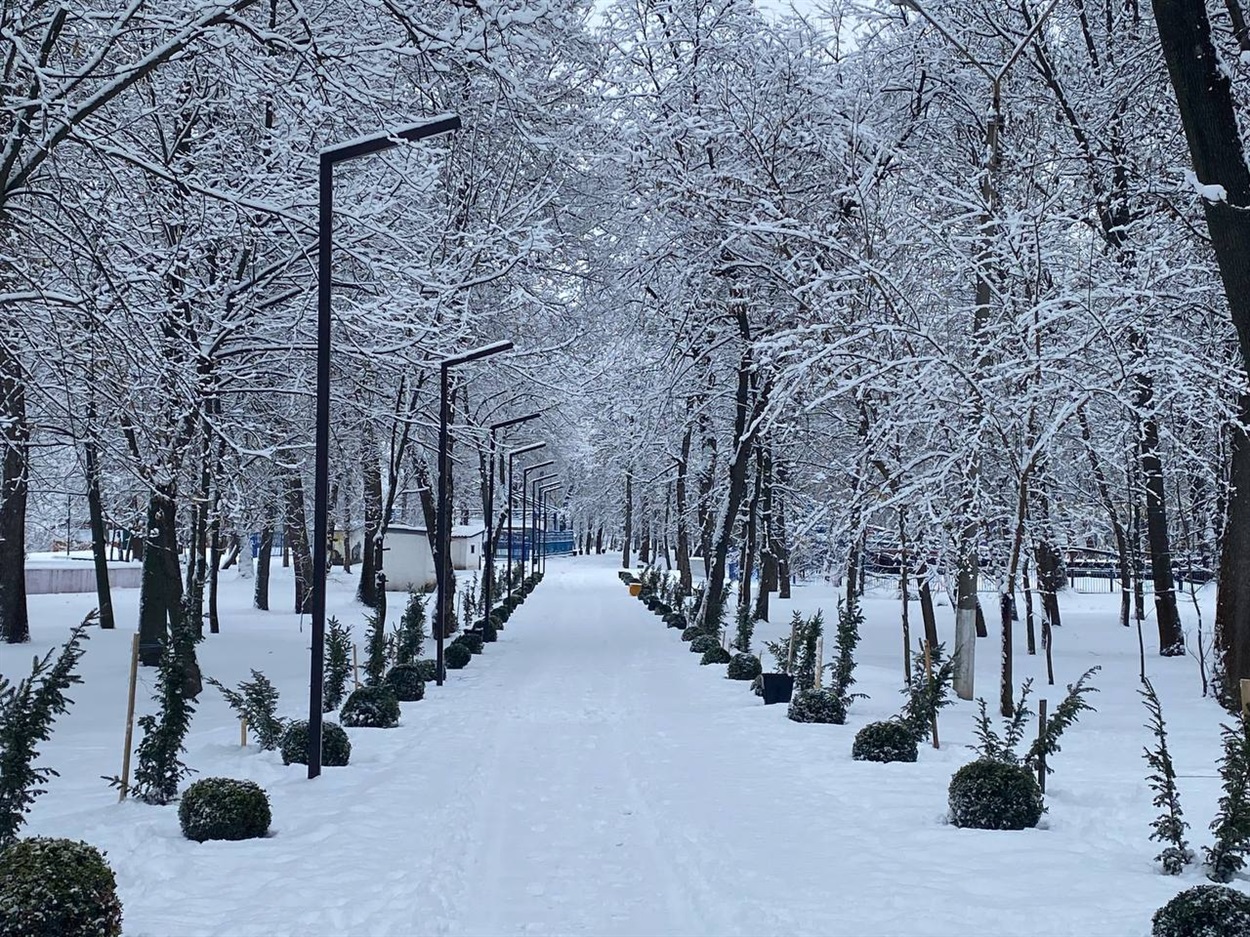 Паркова алея взимку