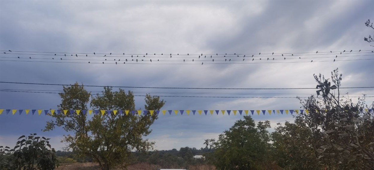 Затишне місце