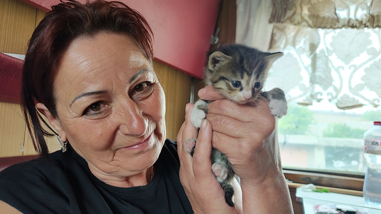Пані Таісія і котеня