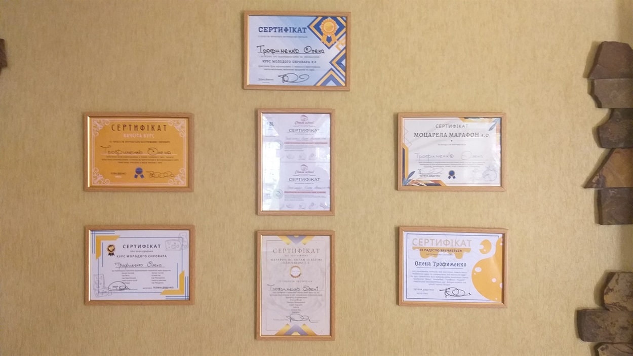 Дипломи та сертифікати за підсумками навчань, які пройшла пані Олена. 