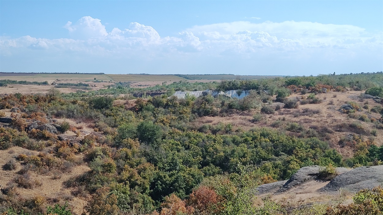 Білі скелі вдалині