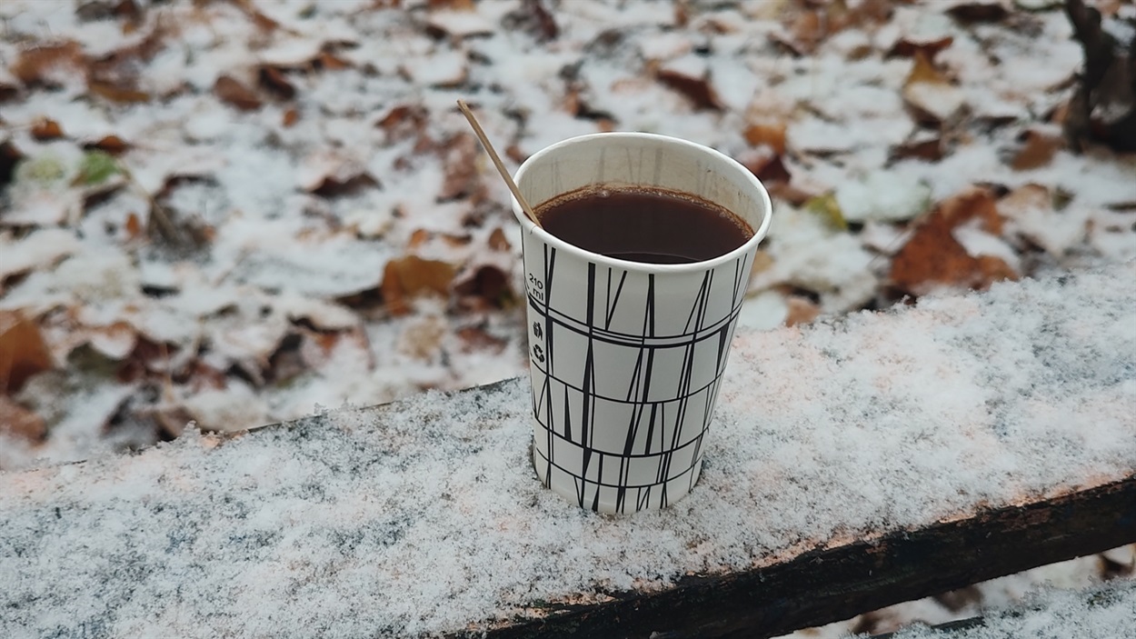 Перший сніг у Києві