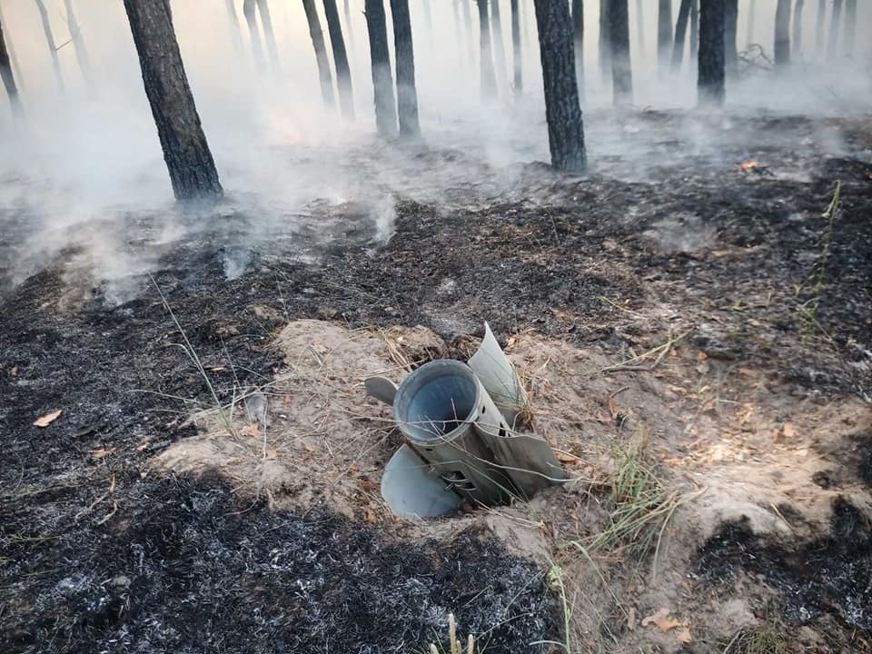 Ліс після прильоту