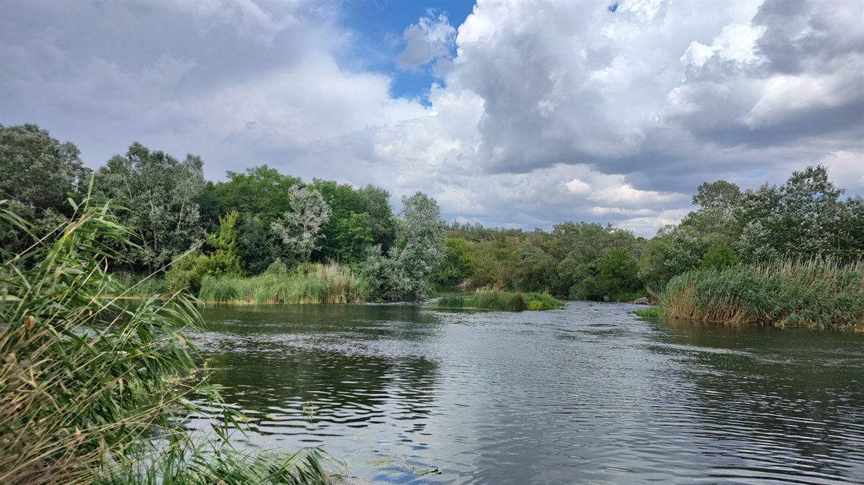 Сріблиться вода, і срібляться дерева