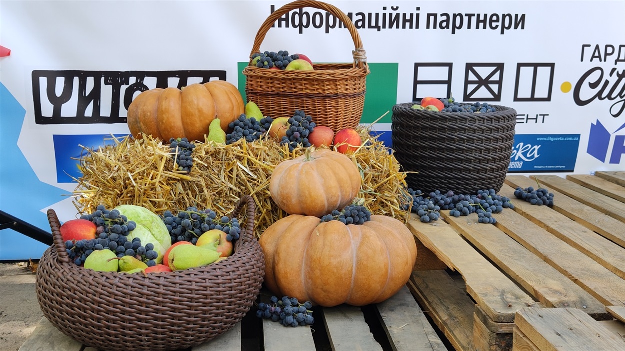 Вінграновський фест. Осінь 2024 року