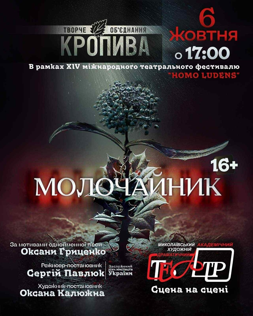 Фестиваль Homo Ludens у Миколаєві: Артем Свистун про театр під час війни, міжнародний рівень і мрії