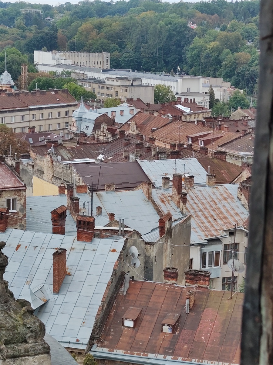 Що можна побачити з вежі Львівського органного залу, а що почути на концерті: досвід журналістки