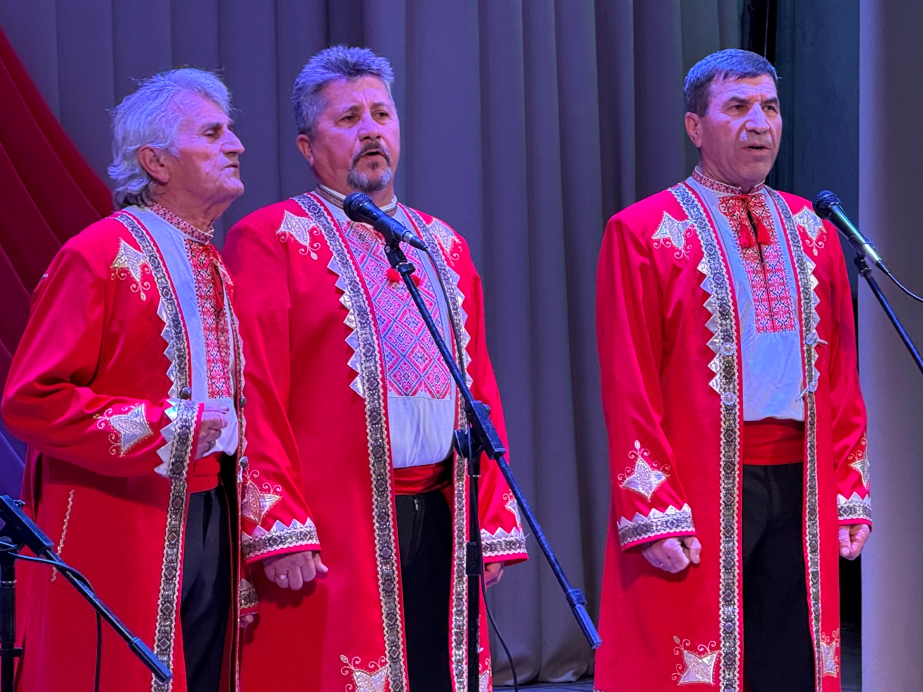 Святковий концерт у Первомайську: співали «Червона калина» і «Калинове зерня»
