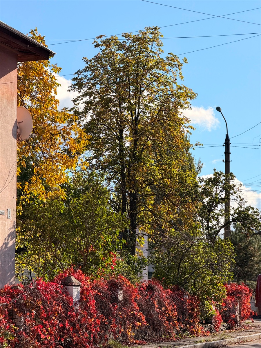 Осінь у Місті над Бугом: фотоальбом