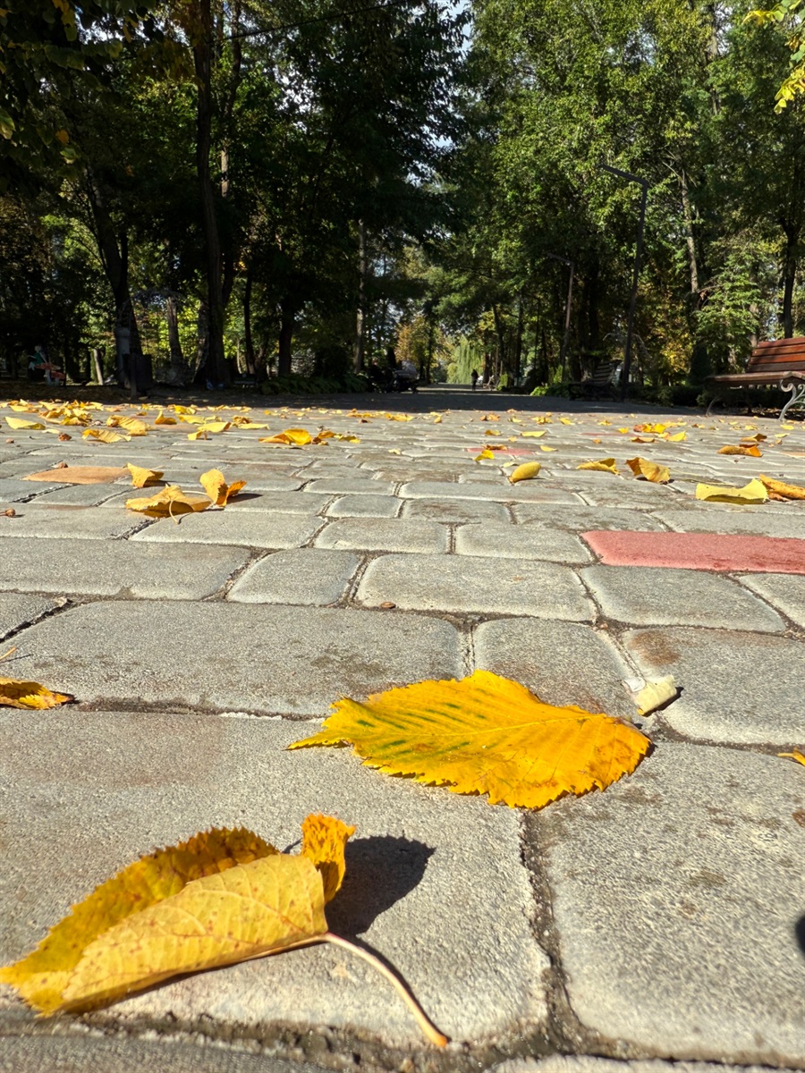Осінь у Місті над Бугом: фотоальбом