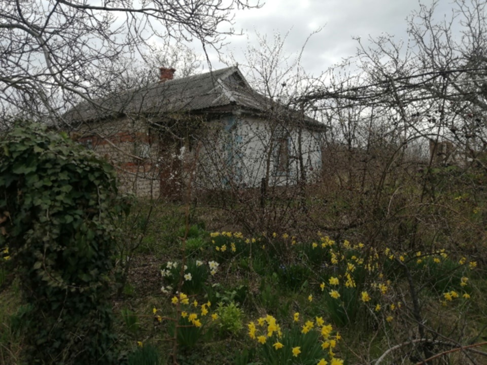 Тут Вінграновський виріс, звідси ходив у 17 школу