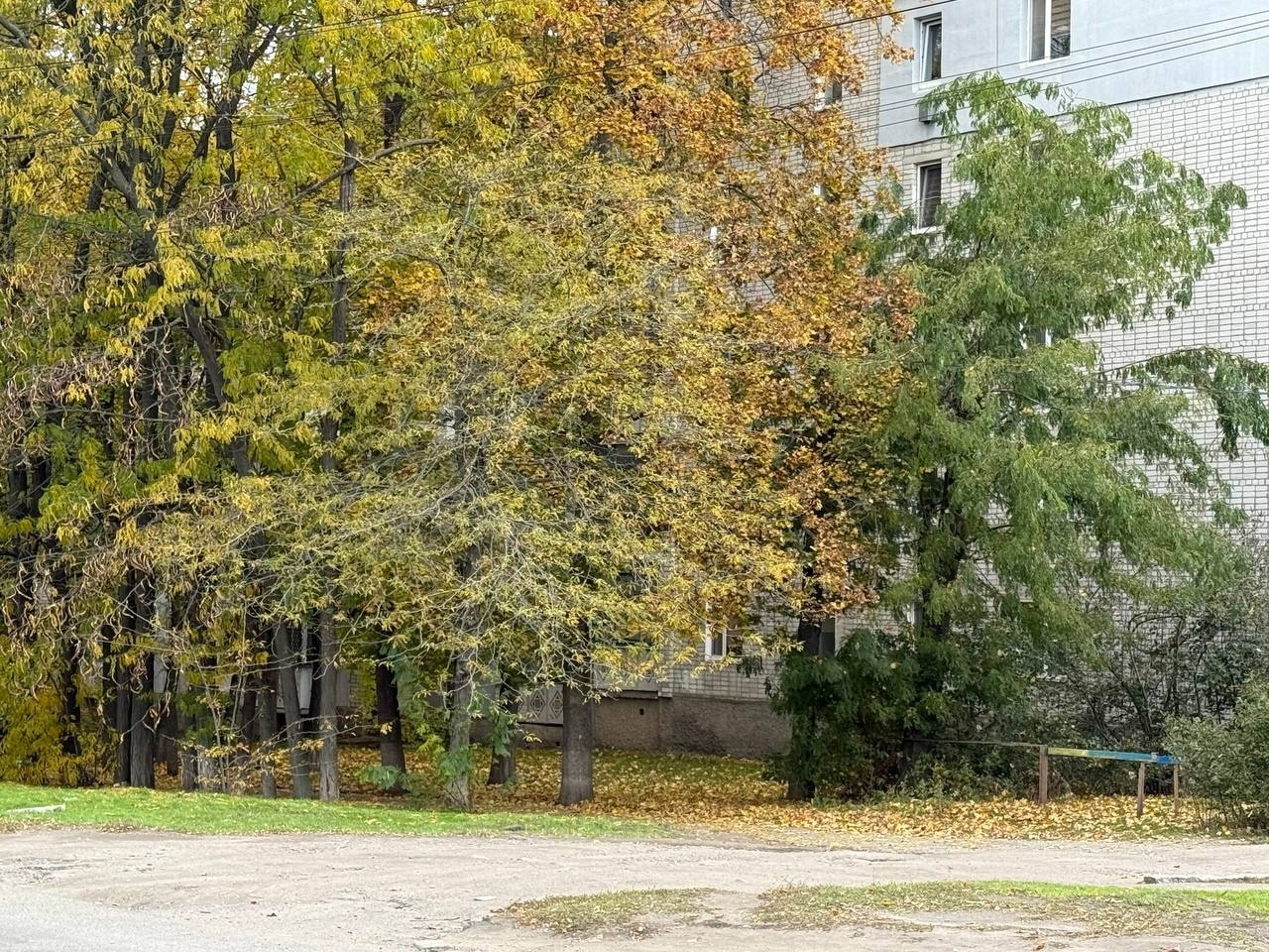 Більше, ніж бібліотека: як Ольга Островська об’єднує громаду Цукрового заводу