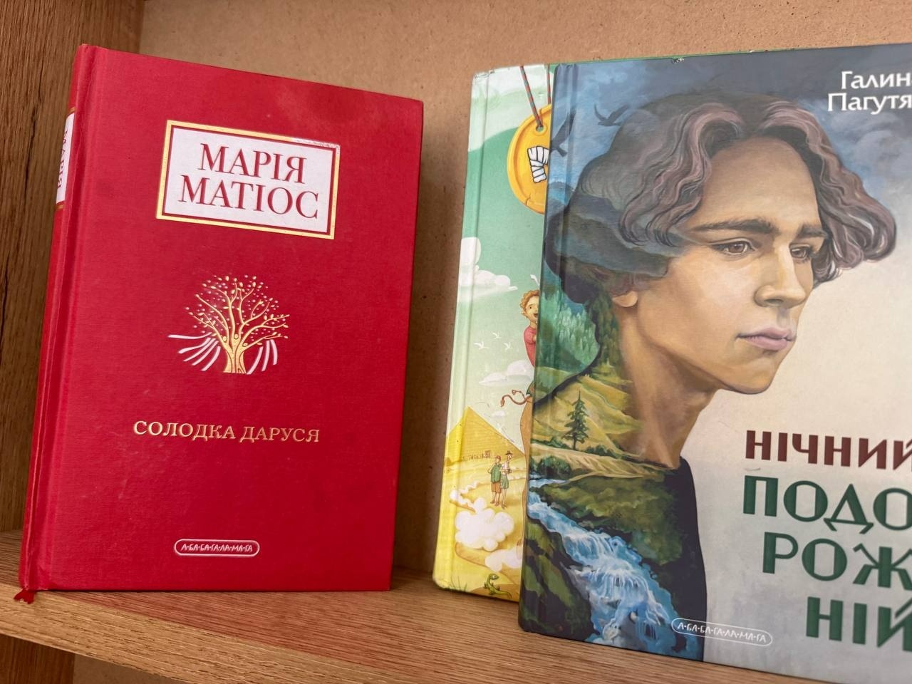 Більше, ніж бібліотека: як Ольга Островська об’єднує громаду Цукрового заводу