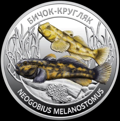 Рак-самітник та бичок. Нацбанк закарбував мешканців українських морів у металі