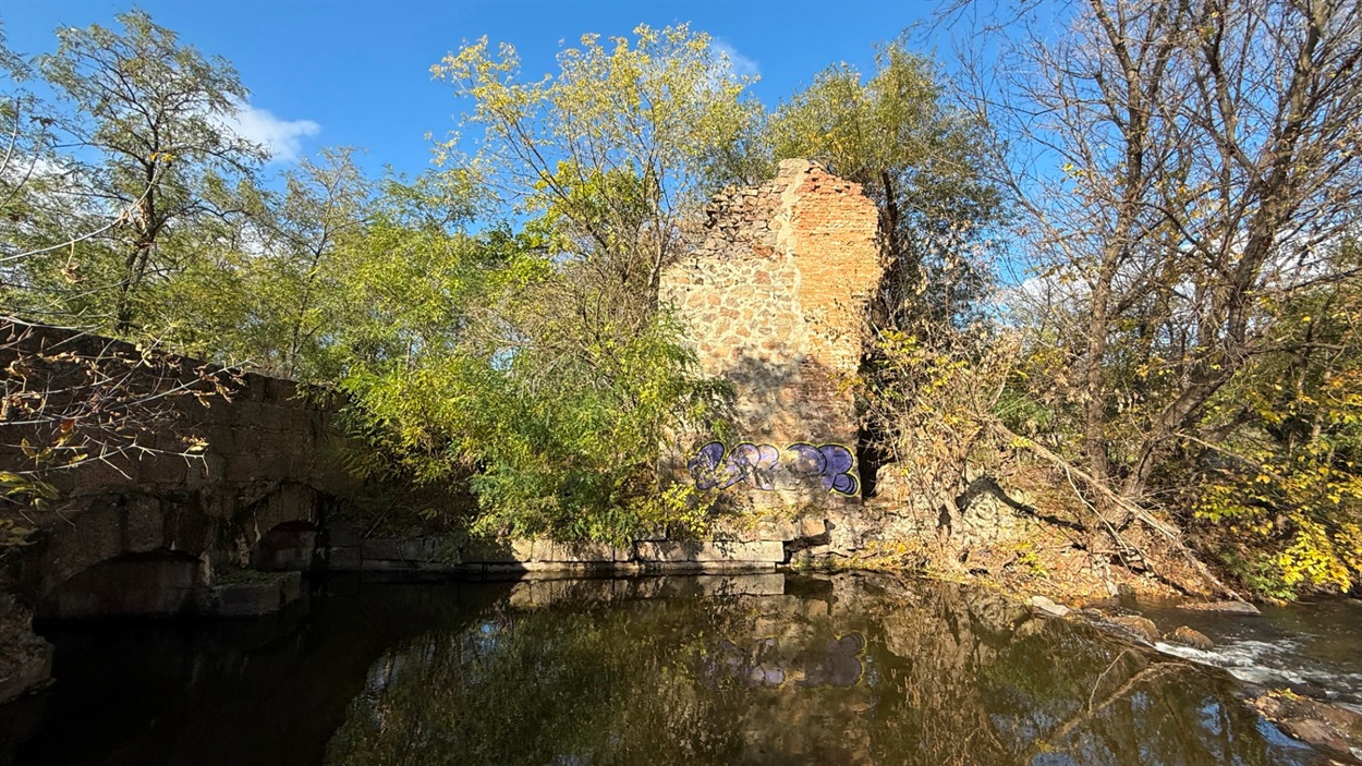 Малий млин Скаржинських