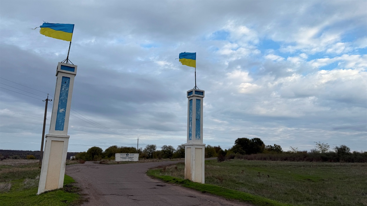 Розвиднюється