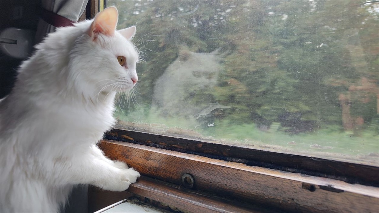 Мандруємо з комфортом