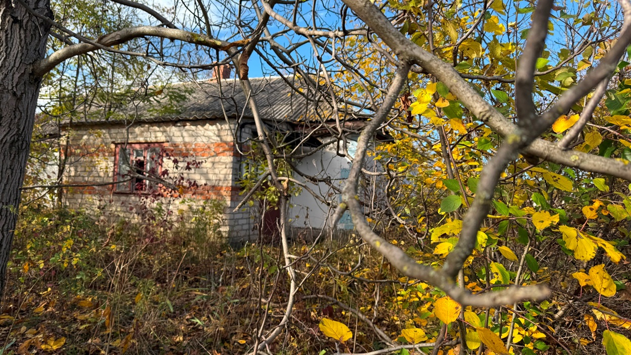 Хата у Богополі