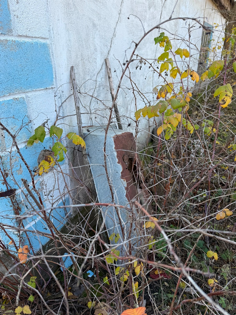 Голта, Богопіль, знову Голта і Кумарі: хати, де жив Вінграновський на Первомайщині