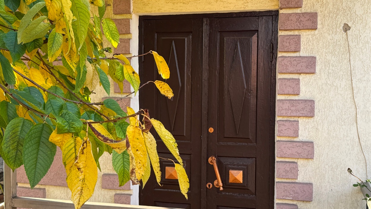 Дерев'яні двері, які зробив Степан Вінграновський