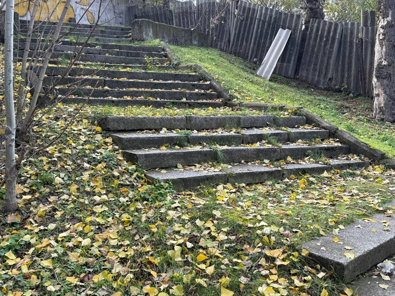 Осінь без диму: як Первомайськ долає проблему опалого листя