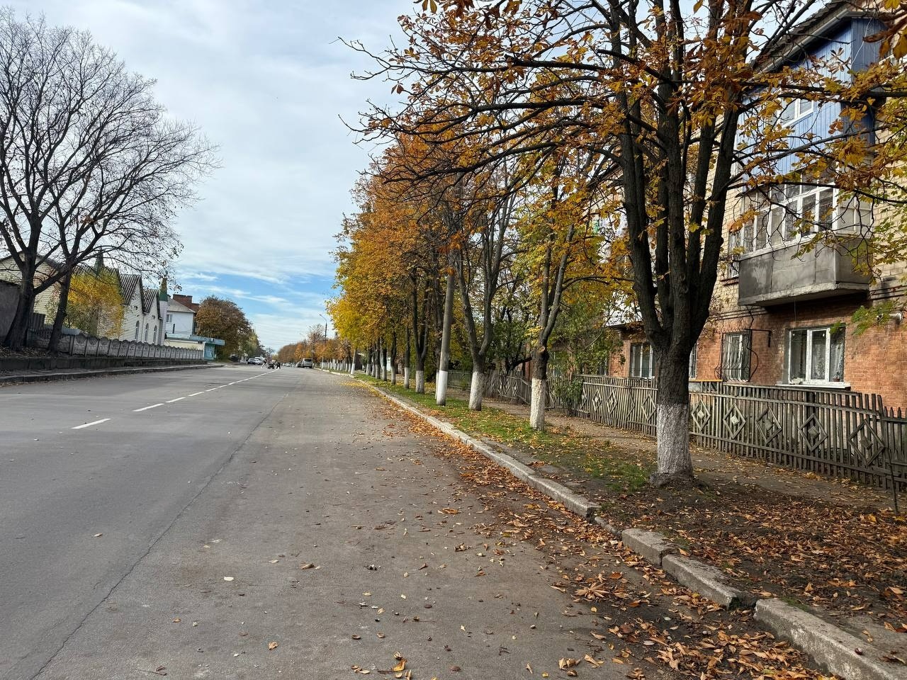 Осінь без диму: як Первомайськ долає проблему опалого листя