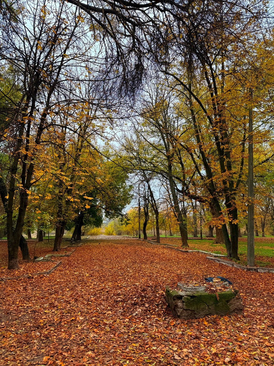 Парк восени