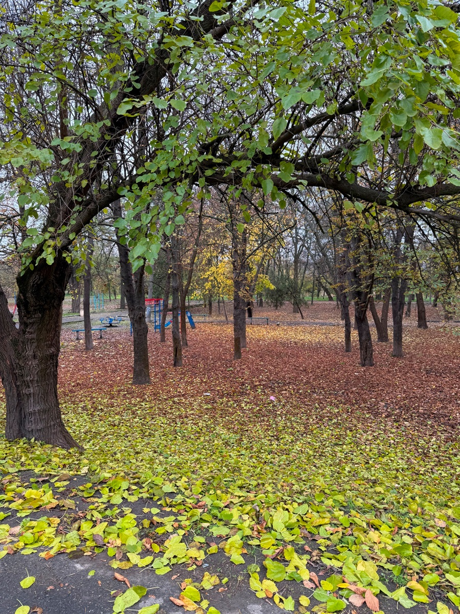 Розсипи листя