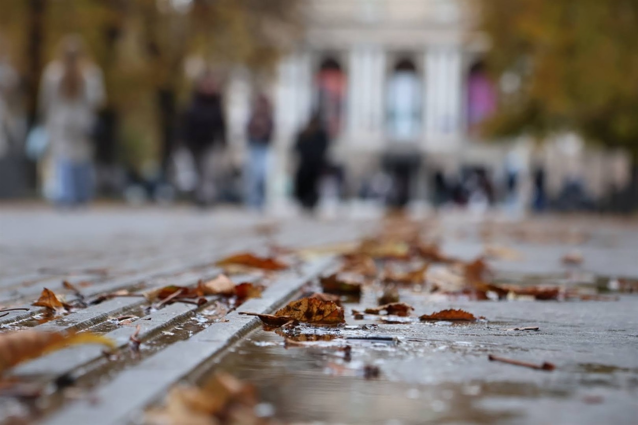 на задньому плані Львівська опера