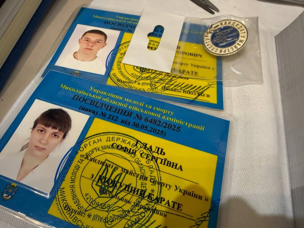У Миколаєві відбувся Відкритий турнір області з кіокушин карате