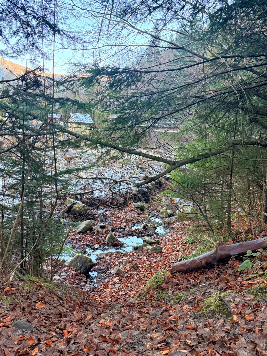 Гірська річечка