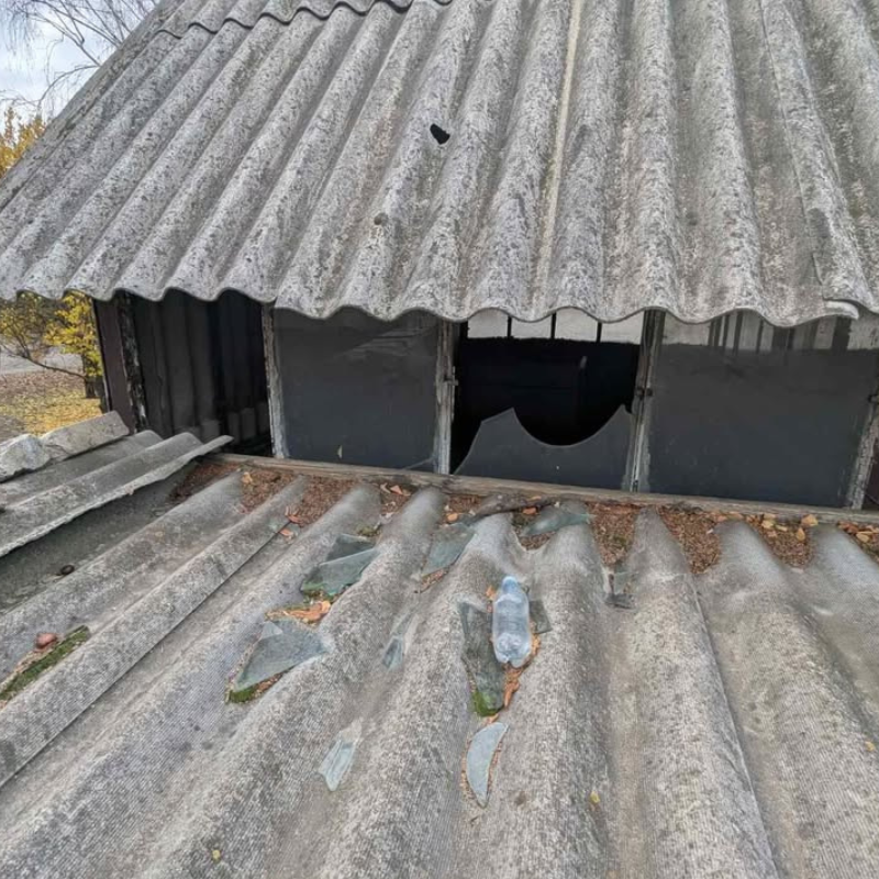 Звернення до редакції через плісняву в ліцеї «Престиж»: як відреагувала влада Первомайська