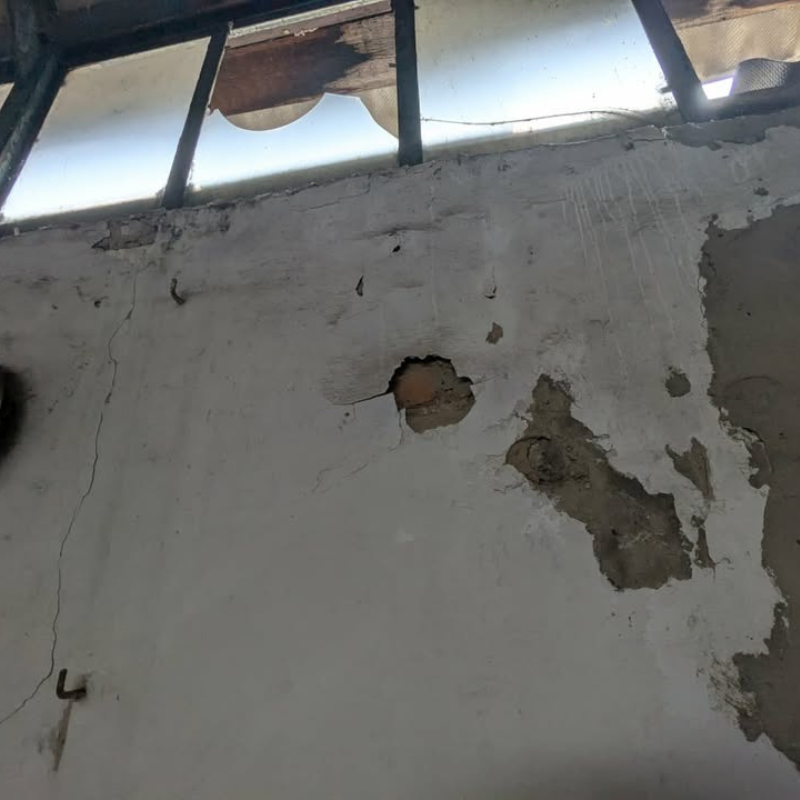 Звернення до редакції через плісняву в ліцеї «Престиж»: як відреагувала влада Первомайська