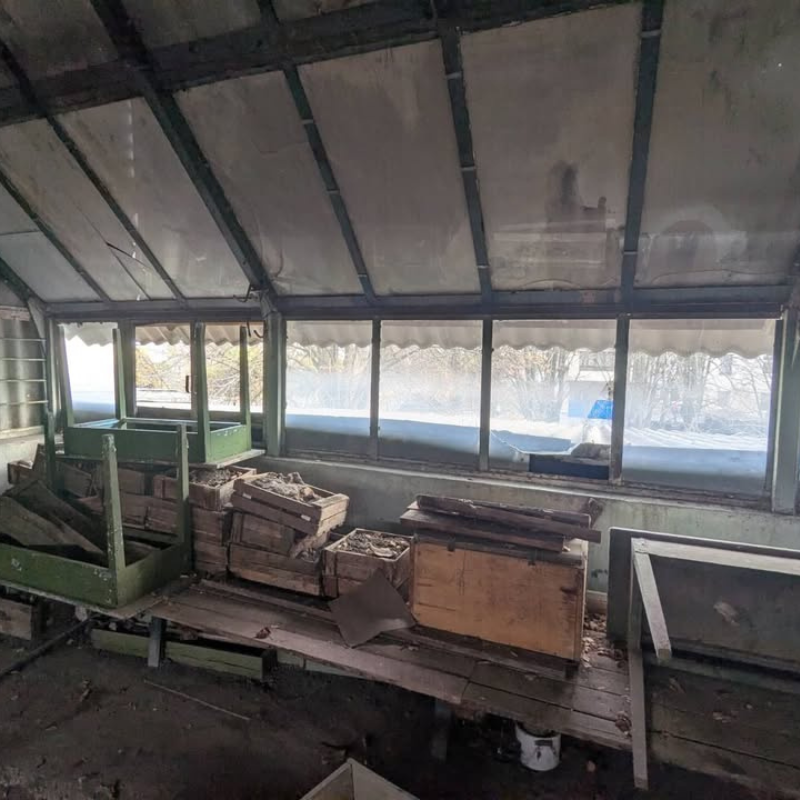 Звернення до редакції через плісняву в ліцеї «Престиж»: як відреагувала влада Первомайська