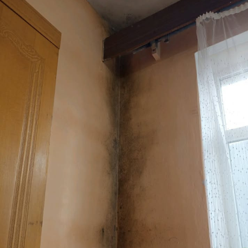 Звернення до редакції через плісняву в ліцеї «Престиж»: як відреагувала влада Первомайська